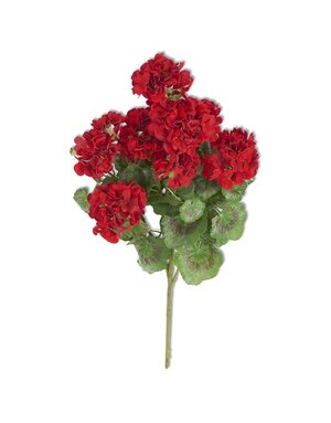 24" Red Geranium Bush