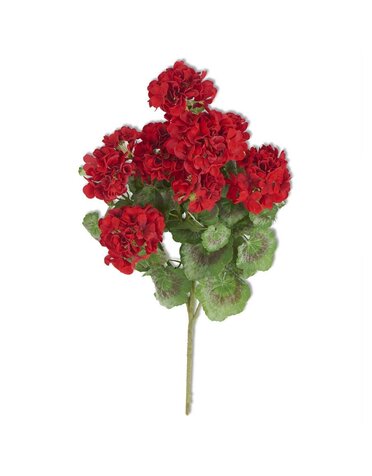 24" Red Geranium Bush