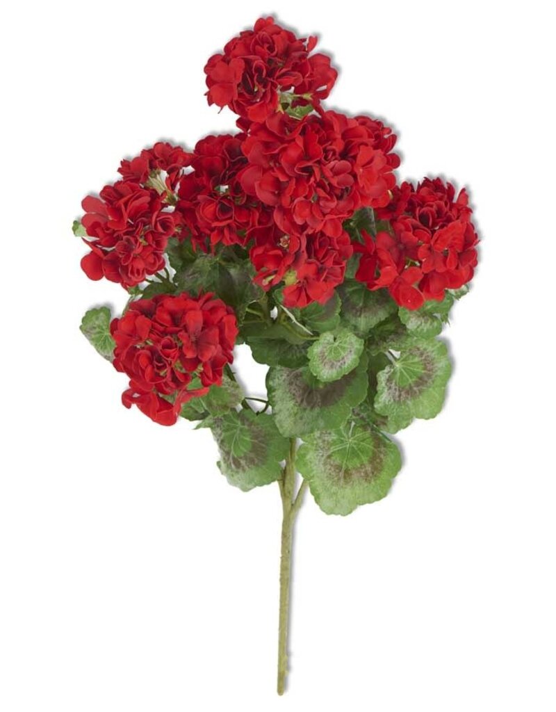 24" Red Geranium Bush