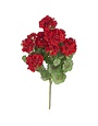 24" Red Geranium Bush