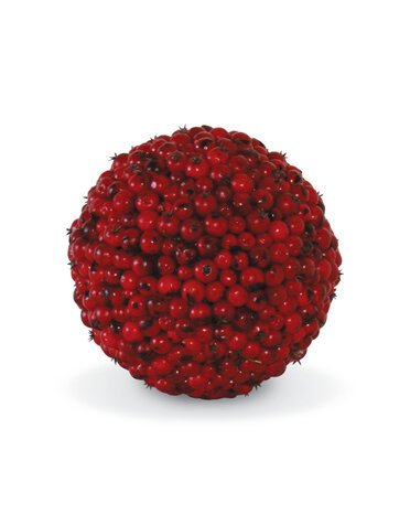 Red Berry Ball 5.5 "