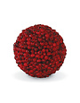 Red Berry Ball 5.5 "