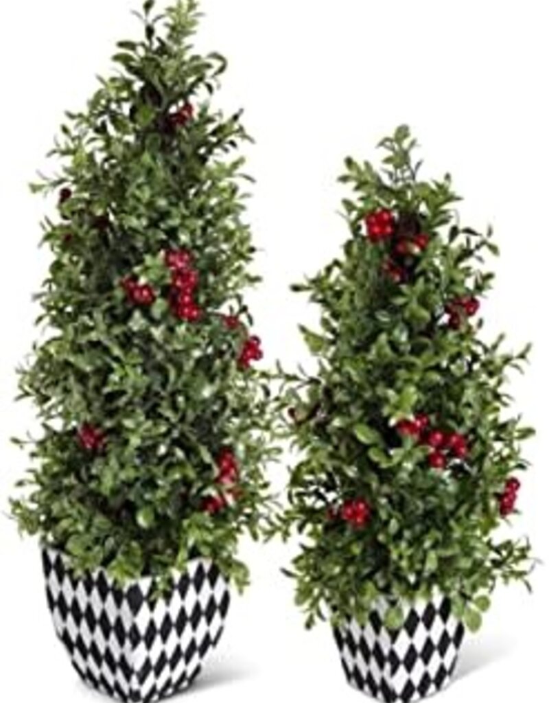 22" Glittered Berry and Boxwood Cone Tree