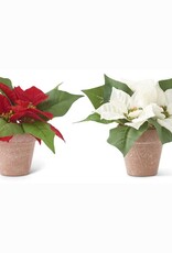 Assorted 8 Inch Red and White Poinsettias In Pots 8"H x 3.5"Dia.