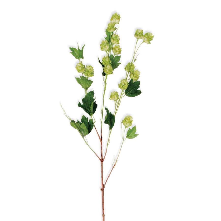 39" Green Hops Stem