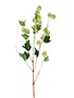 39" Green Hops Stem