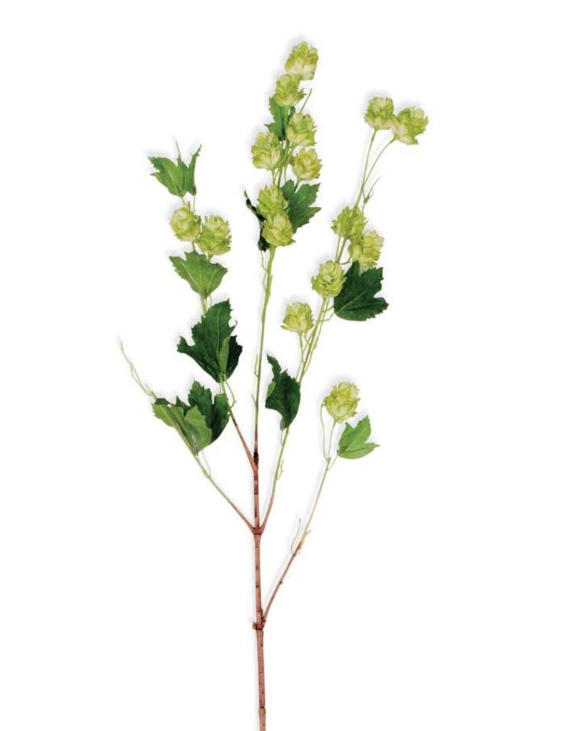 39" Green Hops Stem