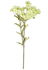 17 Inch Green Plains Coreopsis Spray