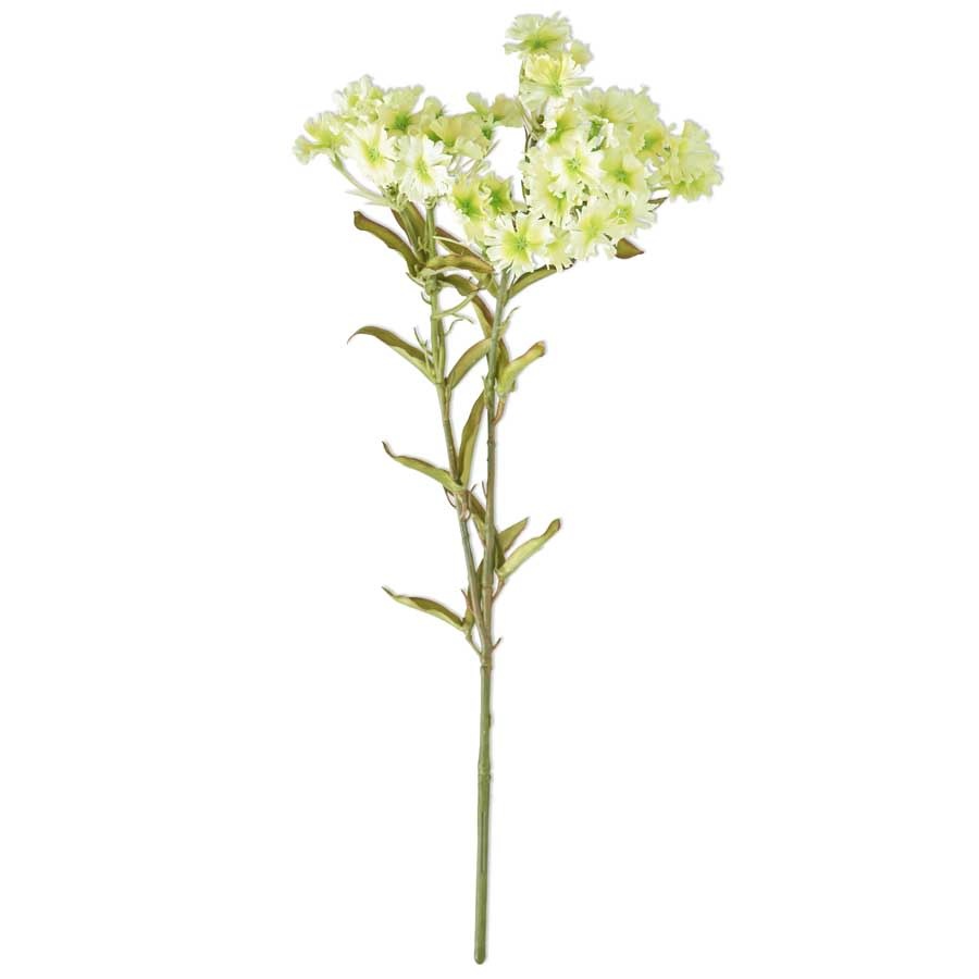 17 Inch Green Plains Coreopsis Spray
