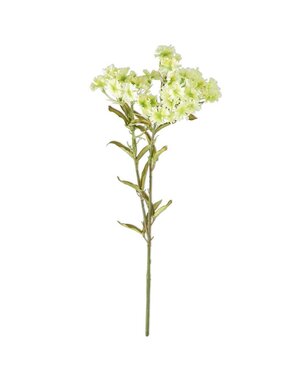 17 Inch Green Plains Coreopsis Spray