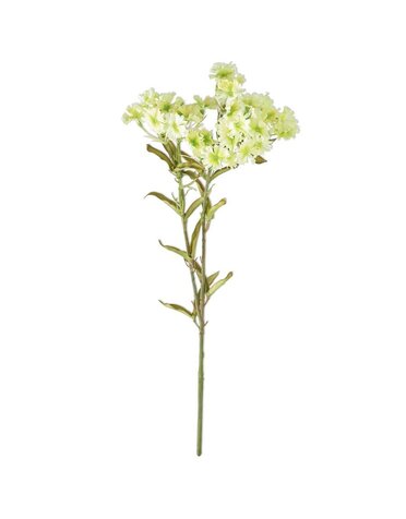 17 Inch Green Plains Coreopsis Spray