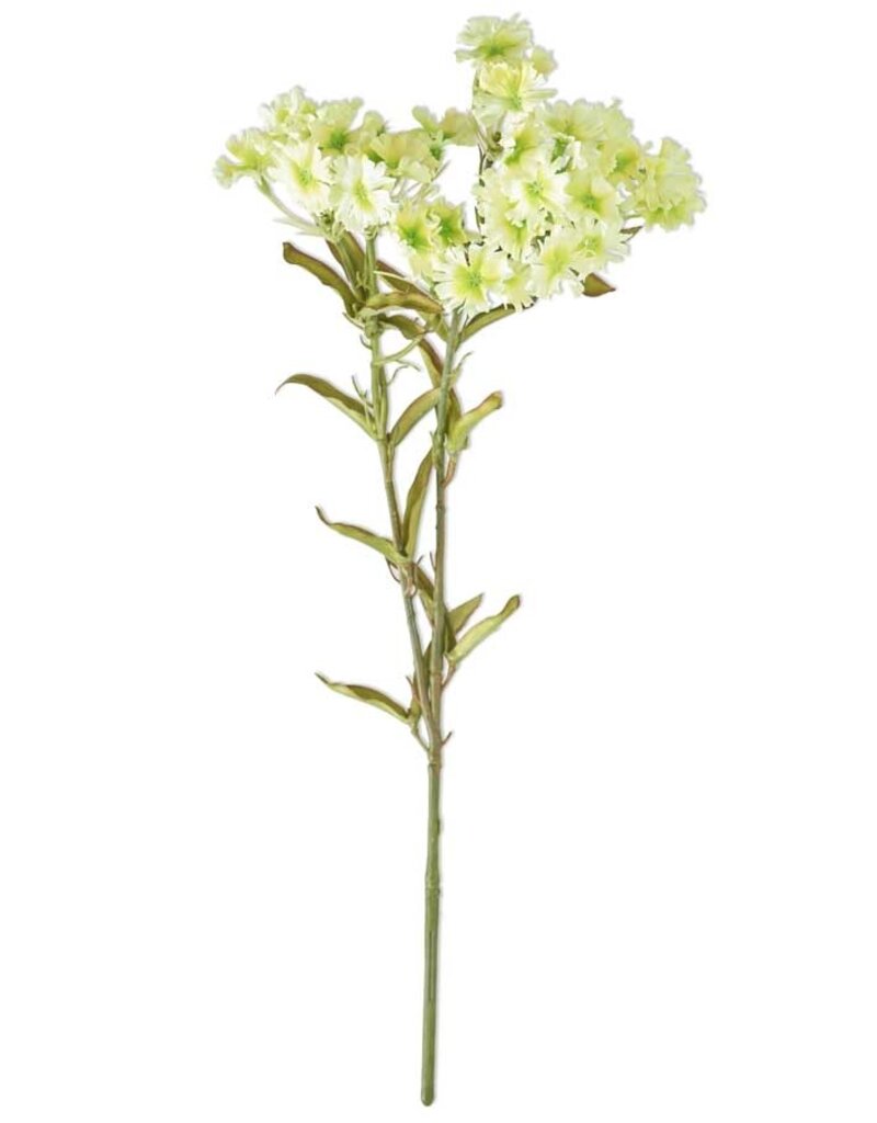 17 Inch Green Plains Coreopsis Spray