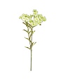 17 Inch Green Plains Coreopsis Spray