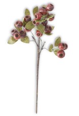 18.5 Inch Red Pod Stem