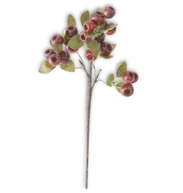 18.5 Inch Red Pod Stem