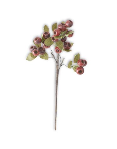 18.5 Inch Red Pod Stem