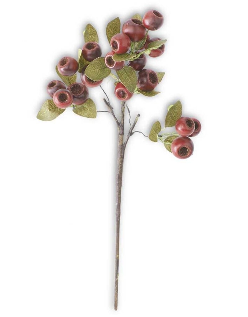 18.5 Inch Red Pod Stem