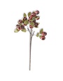 18.5 Inch Red Pod Stem