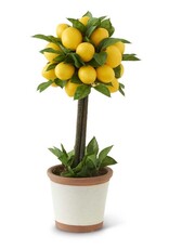 19 Inch Lemon & Foliage 1 Ball Topiary Tree in Ceramic Pot