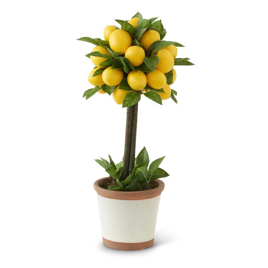 19 Inch Lemon & Foliage 1 Ball Topiary Tree in Ceramic Pot