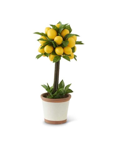 19 Inch Lemon & Foliage 1 Ball Topiary Tree in Ceramic Pot