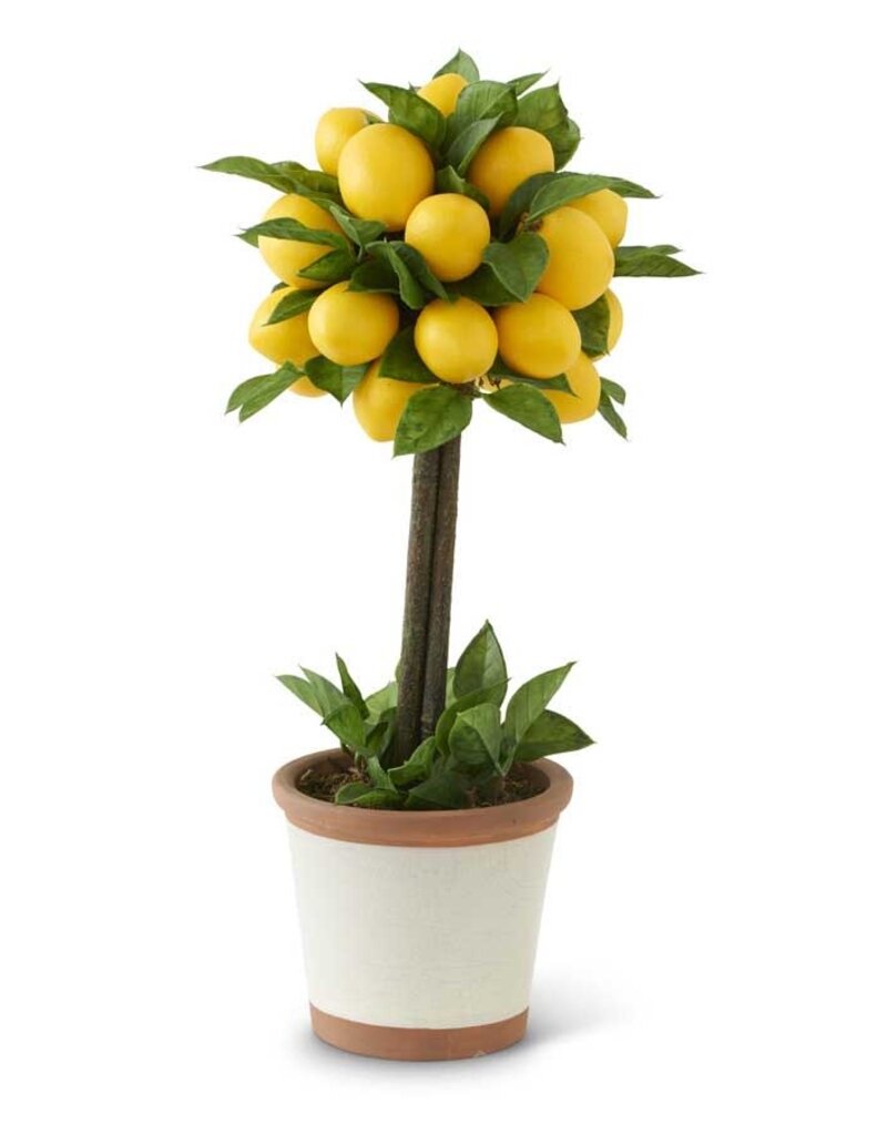 19 Inch Lemon & Foliage 1 Ball Topiary Tree in Ceramic Pot