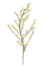 44 Inch Yellow Forsythia Stem