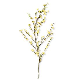 44 Inch Yellow Forsythia Stem