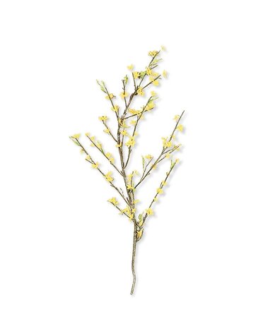44 Inch Yellow Forsythia Stem