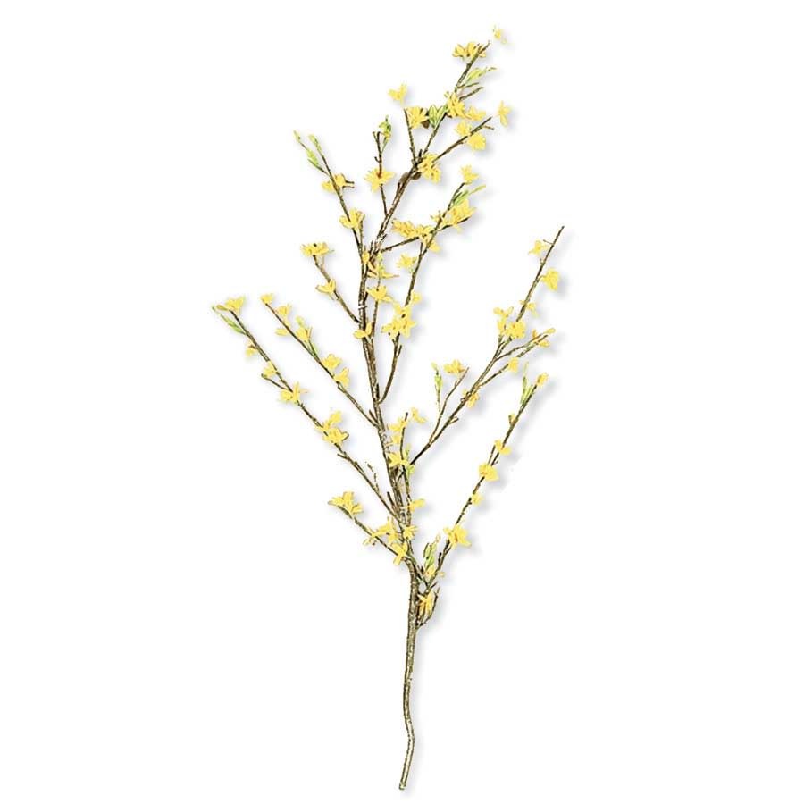 44 Inch Yellow Forsythia Stem