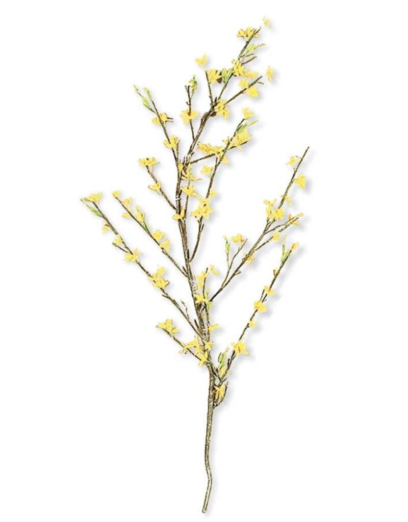 44 Inch Yellow Forsythia Stem