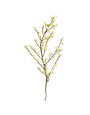 44 Inch Yellow Forsythia Stem