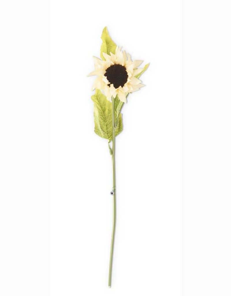 K & K Interiors 21 Inch Cream Real Touch Sunflower Stem