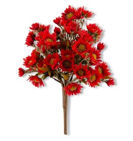 15 Inch Burgundy Mum Bush