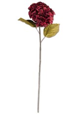30 Inch Burgundy Hydrangea Two Leaf Stem