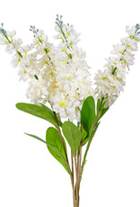 Stock-Cream