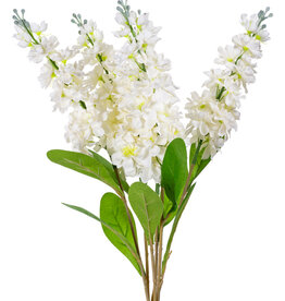 Stock-Cream