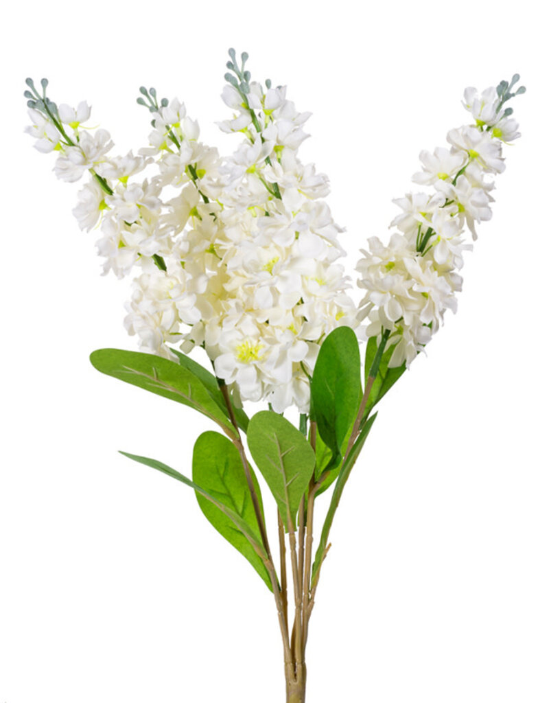 Stock-Cream