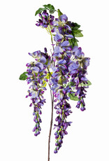 LG Wisteria Purple