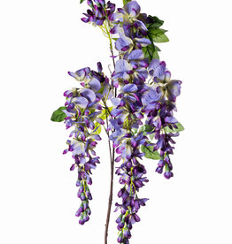 LG Wisteria Purple