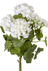 SM Geranium Cream