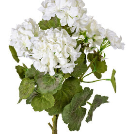 SM Geranium Cream
