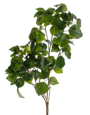 Large Impomoea Sprig