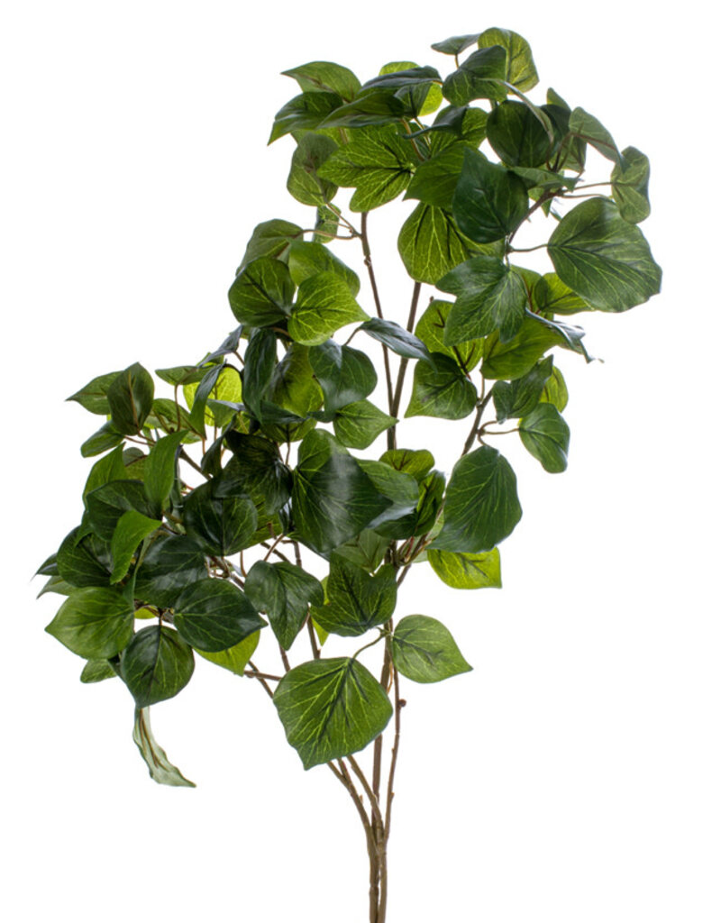 Large Impomoea Sprig