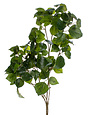 Large Impomoea Sprig