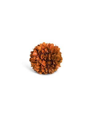 Orange Preserved Boxwood Ball 3.75"