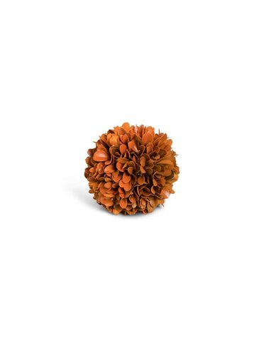 Orange Preserved Boxwood Ball 3.75"