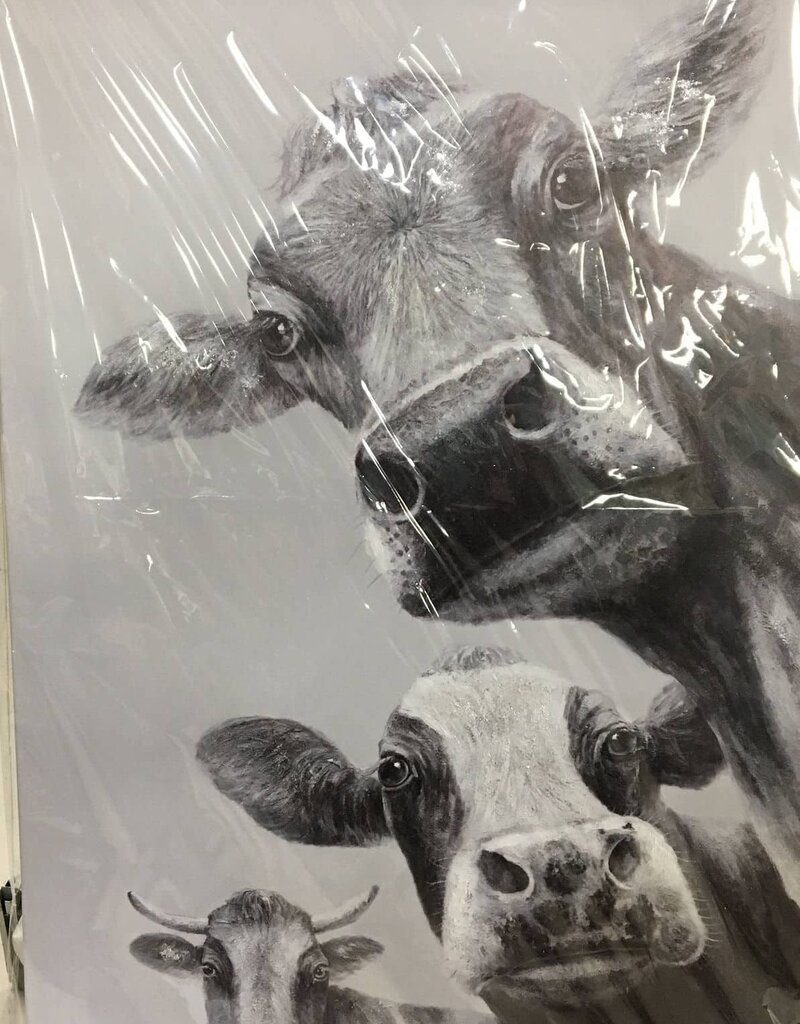 Three Calf Canvas 36 x 56