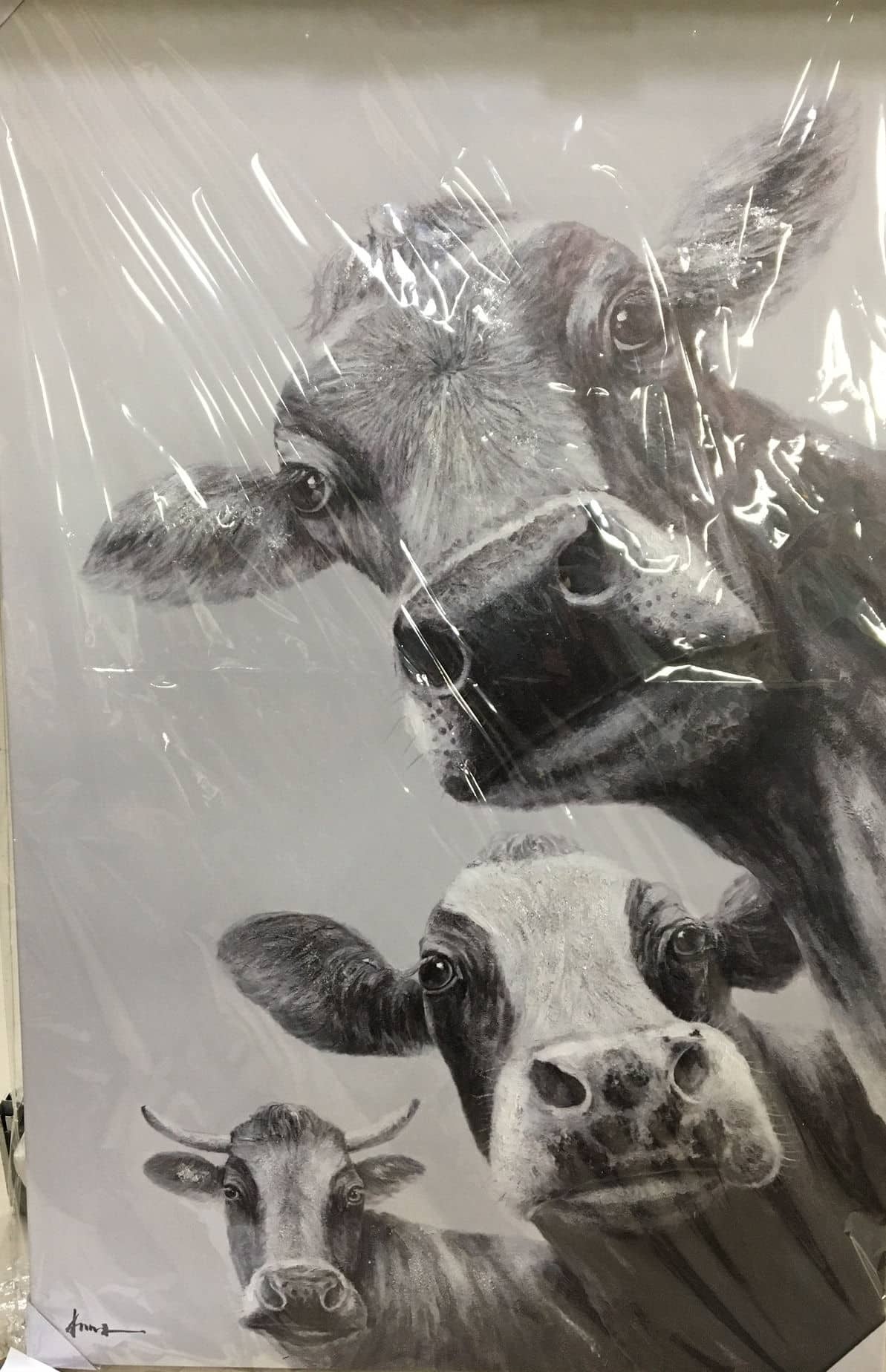 Three Calf Canvas 36 x 56