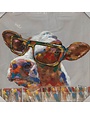 Cow With Glasses 36 x36